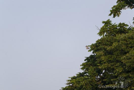 0709_01.jpg